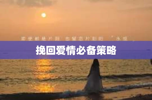 挽回爱情必备策略