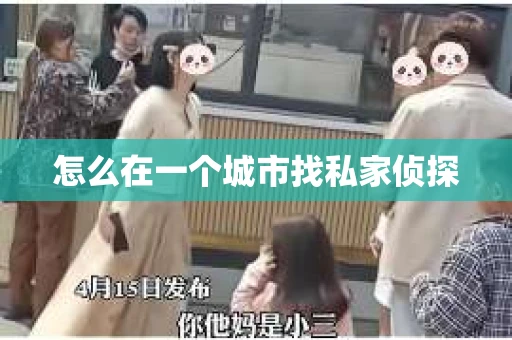 怎么在一个城市找私家侦探