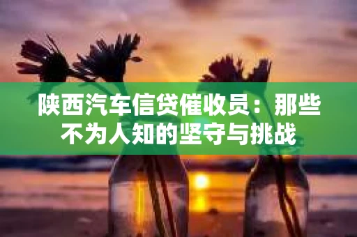 陕西汽车信贷催收员：那些不为人知的坚守与挑战