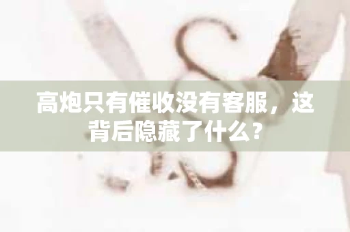 高炮只有催收没有客服，这背后隐藏了什么？