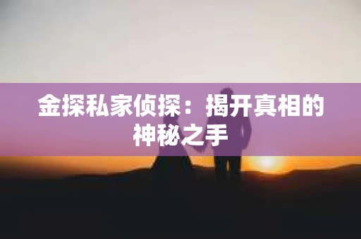 金探私家侦探:揭开真相的神秘之手 金探私家侦探:揭开真相的神秘之手