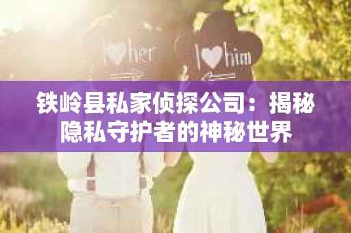 铁岭县私家侦探公司：揭秘隐私守护者的神秘世界