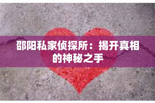 邵阳私家侦探所：揭开真相的神秘之手