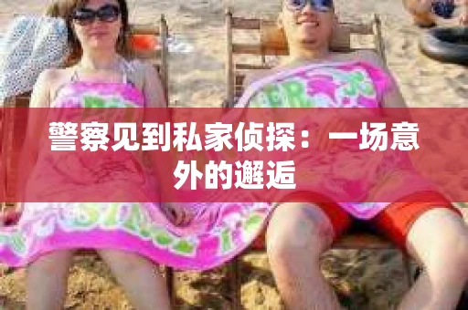 警察见到私家侦探：一场意外的邂逅