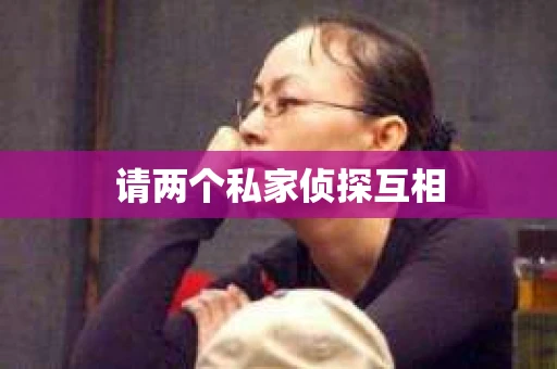 请两个私家侦探互相