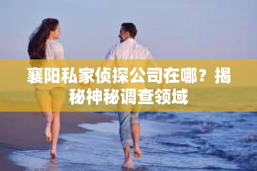 襄阳私家侦探公司在哪？揭秘神秘调查领域