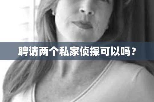 聘请两个私家侦探可以吗？