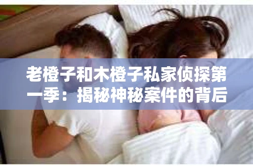 老橙子和木橙子私家侦探第一季：揭秘神秘案件的背后