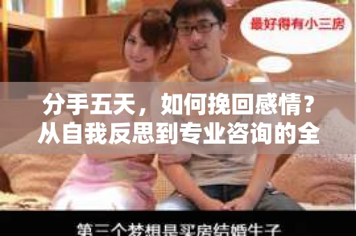 分手五天，如何挽回感情？从自我反思到专业咨询的全面解决方案