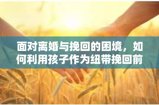 面对离婚与挽回的困境，如何利用孩子作为纽带挽回前夫的技巧？