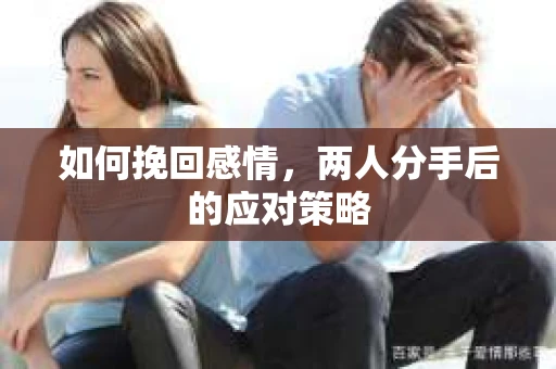 如何挽回感情,两人分手后的应对策略 如何挽回感情,两人分手后的应对策略