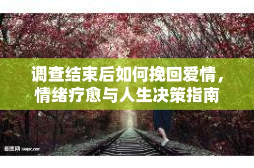 调查结束后如何挽回爱情，情绪疗愈与人生决策指南